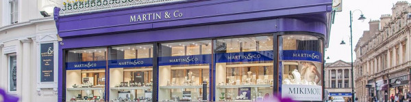 Martin &amp; Co cover image